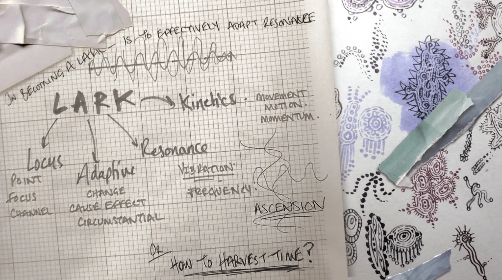 webimagelarkabout2 20250804083025